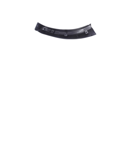 Moldura Parachoque Delantero Izquierdo Great Wall Wingle 5