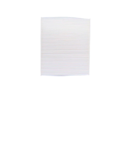 Filtro De Cabina - Skoda Fabia