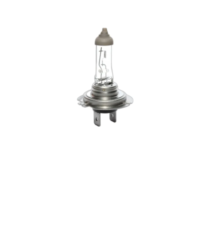 Ampolleta Halógena H7 Para Auto 12V 55W Foco Mayor Baja Y Neblinero - Great Wall Deer