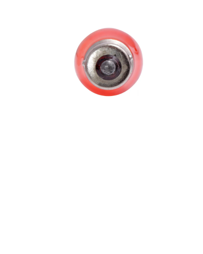 Ampolleta Común 12Volts P y 21Watts - STP