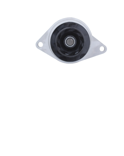 Bomba De Agua Con Oring - STP