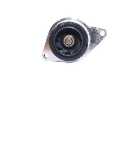 Bomba De Agua Con Oring - Wurtex