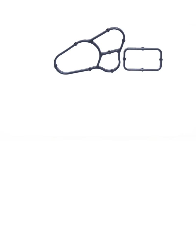 Empaquetadura Base Filtro