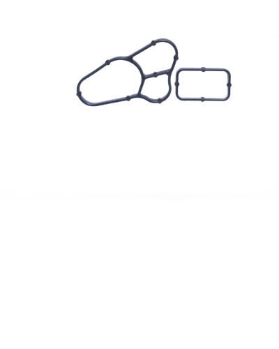 Empaquetadura Base Filtro