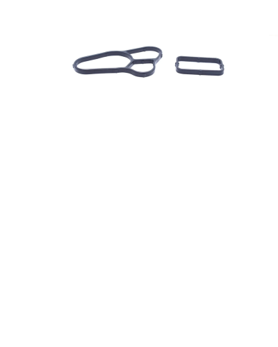 Empaquetadura Base Filtro