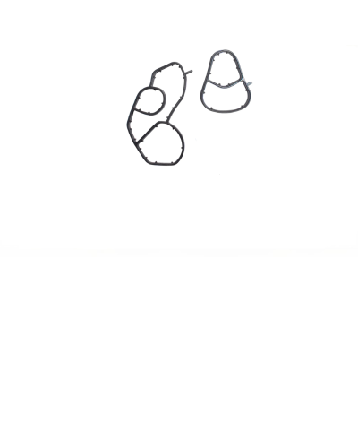 Empaquetadura Base Filtro - Bhorke